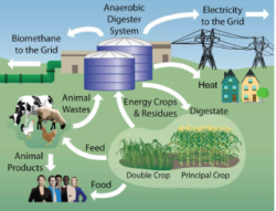 Image Source: https://www.ieabioenergy.com/blog/publications/new-publication-integration-of-anaerobic-digestion-into-farming-systems-in-australia-canada-italy-and-the-uk/